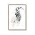 Picture of Ram Charcoal _GroupedProduct_Rectangle_Portrait_Framed_Matted_