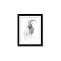 Picture of Ram Charcoal _GroupedProduct_Rectangle_Portrait_Framed_Matted_