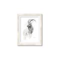 Picture of Ram Charcoal _GroupedProduct_Rectangle_Portrait_Framed_Matted_