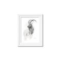 Picture of Ram Charcoal _GroupedProduct_Rectangle_Portrait_Framed_Matted_
