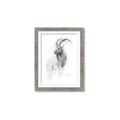 Picture of Ram Charcoal _GroupedProduct_Rectangle_Portrait_Framed_Matted_
