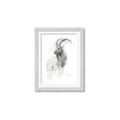 Picture of Ram Charcoal _GroupedProduct_Rectangle_Portrait_Framed_Matted_