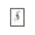 Picture of Ram Charcoal _GroupedProduct_Rectangle_Portrait_Framed_Matted_