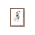 Picture of Ram Charcoal _GroupedProduct_Rectangle_Portrait_Framed_Matted_