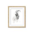 Picture of Ram Charcoal _GroupedProduct_Rectangle_Portrait_Framed_Matted_