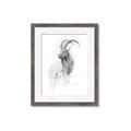 Picture of Ram Charcoal _GroupedProduct_Rectangle_Portrait_Framed_Matted_