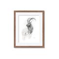Picture of Ram Charcoal _GroupedProduct_Rectangle_Portrait_Framed_Matted_