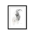 Picture of Ram Charcoal _GroupedProduct_Rectangle_Portrait_Framed_Matted_