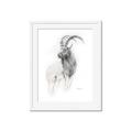 Picture of Ram Charcoal _GroupedProduct_Rectangle_Portrait_Framed_Matted_