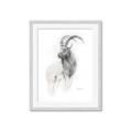 Picture of Ram Charcoal _GroupedProduct_Rectangle_Portrait_Framed_Matted_