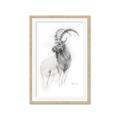 Picture of Ram Charcoal _GroupedProduct_Rectangle_Portrait_Framed_Matted_