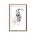 Picture of Ram Charcoal _GroupedProduct_Rectangle_Portrait_Framed_Matted_