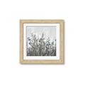 Picture of In the Garden I  _GroupedProduct_Square_Framed_Matted_