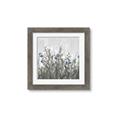 Picture of In the Garden I  _GroupedProduct_Square_Framed_Matted_