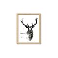 Picture of Sketched Deer  _GroupedProduct_Rectangle_Portrait_Framed_Matted_