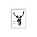 Picture of Sketched Deer  _GroupedProduct_Rectangle_Portrait_Framed_Matted_