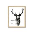 Picture of Sketched Deer  _GroupedProduct_Rectangle_Portrait_Framed_Matted_