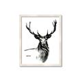 Picture of Sketched Deer  _GroupedProduct_Rectangle_Portrait_Framed_Matted_