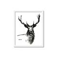 Picture of Sketched Deer  _GroupedProduct_Rectangle_Portrait_Framed_Matted_