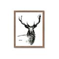 Picture of Sketched Deer  _GroupedProduct_Rectangle_Portrait_Framed_Matted_