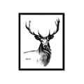 Picture of Sketched Deer  _GroupedProduct_Rectangle_Portrait_Framed_Matted_