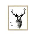 Picture of Sketched Deer  _GroupedProduct_Rectangle_Portrait_Framed_Matted_