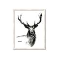 Picture of Sketched Deer  _GroupedProduct_Rectangle_Portrait_Framed_Matted_