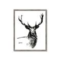 Picture of Sketched Deer  _GroupedProduct_Rectangle_Portrait_Framed_Matted_