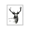 Picture of Sketched Deer  _GroupedProduct_Rectangle_Portrait_Framed_Matted_