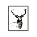 Picture of Sketched Deer  _GroupedProduct_Rectangle_Portrait_Framed_Matted_