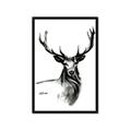 Picture of Sketched Deer  _GroupedProduct_Rectangle_Portrait_Framed_Matted_