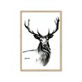 Picture of Sketched Deer  _GroupedProduct_Rectangle_Portrait_Framed_Matted_