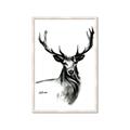 Picture of Sketched Deer  _GroupedProduct_Rectangle_Portrait_Framed_Matted_