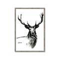 Picture of Sketched Deer  _GroupedProduct_Rectangle_Portrait_Framed_Matted_