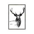 Picture of Sketched Deer  _GroupedProduct_Rectangle_Portrait_Framed_Matted_
