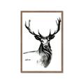 Picture of Sketched Deer  _GroupedProduct_Rectangle_Portrait_Framed_Matted_