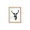 Picture of Sketched Deer  _GroupedProduct_Rectangle_Portrait_Framed_Matted_