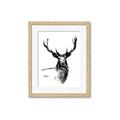 Picture of Sketched Deer  _GroupedProduct_Rectangle_Portrait_Framed_Matted_