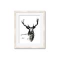 Picture of Sketched Deer  _GroupedProduct_Rectangle_Portrait_Framed_Matted_