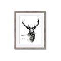 Picture of Sketched Deer  _GroupedProduct_Rectangle_Portrait_Framed_Matted_