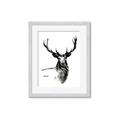 Picture of Sketched Deer  _GroupedProduct_Rectangle_Portrait_Framed_Matted_