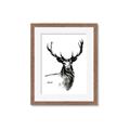 Picture of Sketched Deer  _GroupedProduct_Rectangle_Portrait_Framed_Matted_