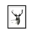 Picture of Sketched Deer  _GroupedProduct_Rectangle_Portrait_Framed_Matted_