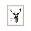 Picture of Sketched Deer  _GroupedProduct_Rectangle_Portrait_Framed_Matted_