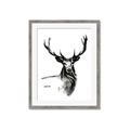 Picture of Sketched Deer  _GroupedProduct_Rectangle_Portrait_Framed_Matted_