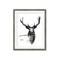 Picture of Sketched Deer  _GroupedProduct_Rectangle_Portrait_Framed_Matted_