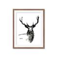 Picture of Sketched Deer  _GroupedProduct_Rectangle_Portrait_Framed_Matted_