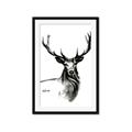 Picture of Sketched Deer  _GroupedProduct_Rectangle_Portrait_Framed_Matted_