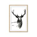 Picture of Sketched Deer  _GroupedProduct_Rectangle_Portrait_Framed_Matted_