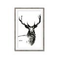Picture of Sketched Deer  _GroupedProduct_Rectangle_Portrait_Framed_Matted_